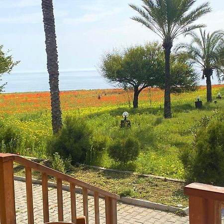 OASIS BEACHFRONT Guest Rooms&Restaurant Rizokarpaso Extérieur photo