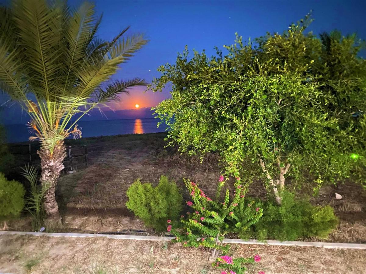 OASIS BEACHFRONT Guest Rooms&Restaurant Rizokarpaso Extérieur photo