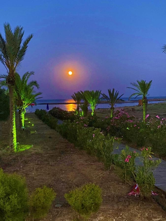 OASIS BEACHFRONT Guest Rooms&Restaurant Rizokarpaso Extérieur photo