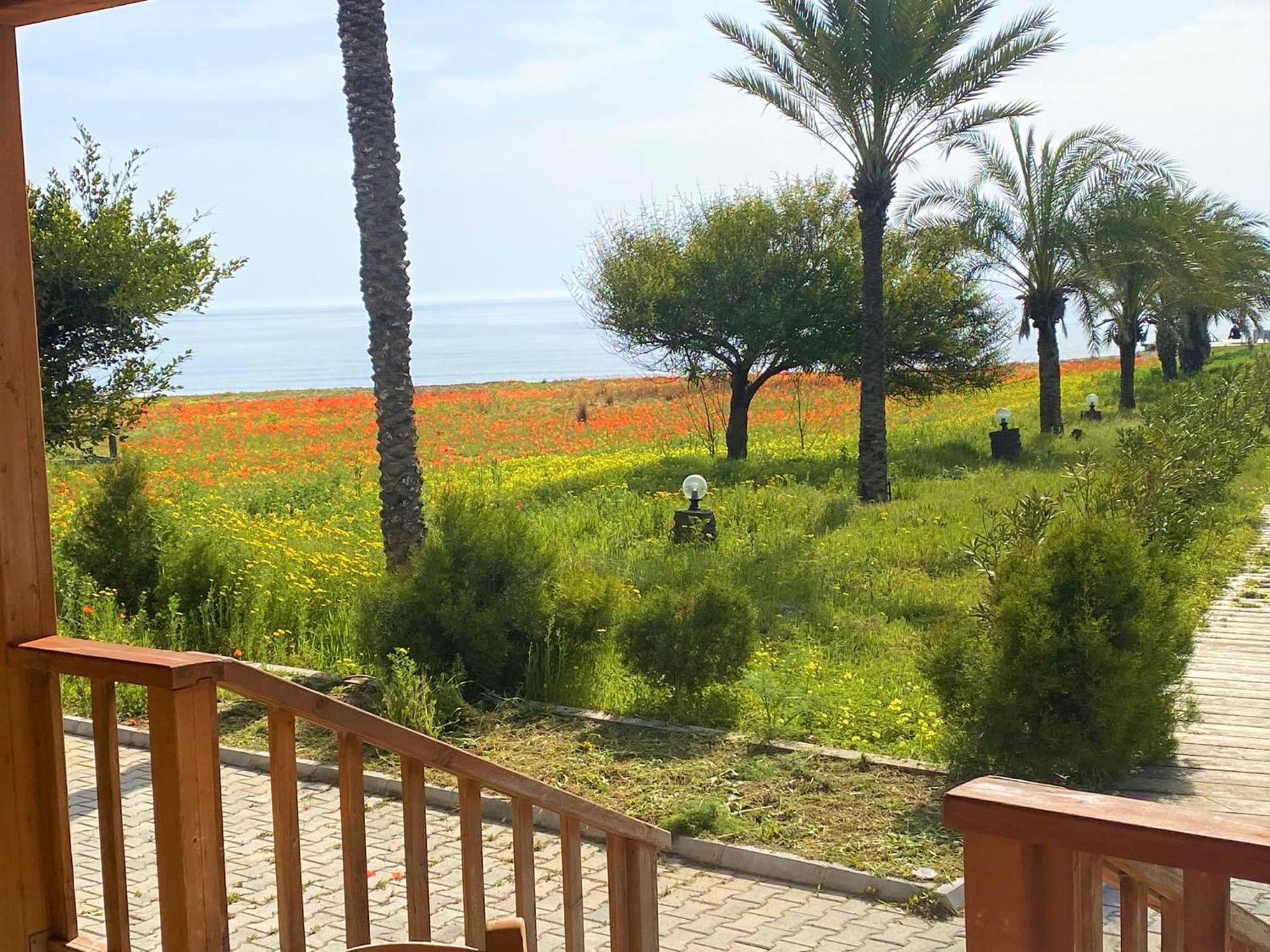 OASIS BEACHFRONT Guest Rooms&Restaurant Rizokarpaso Extérieur photo